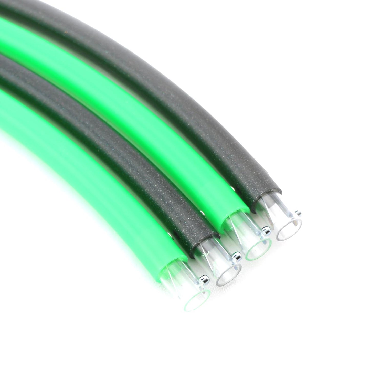 Creeping Tarantula black and green hoop