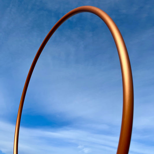 Hoop of the month - January!