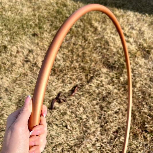 Hoop of the month - January!