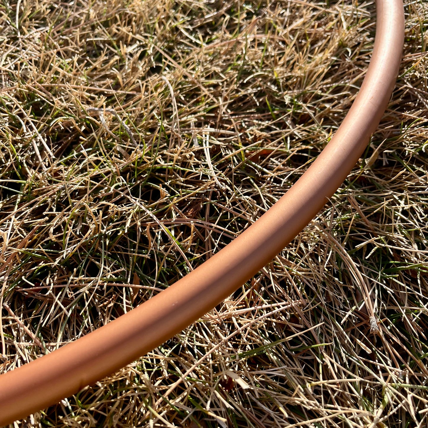 Hoop of the month - January!